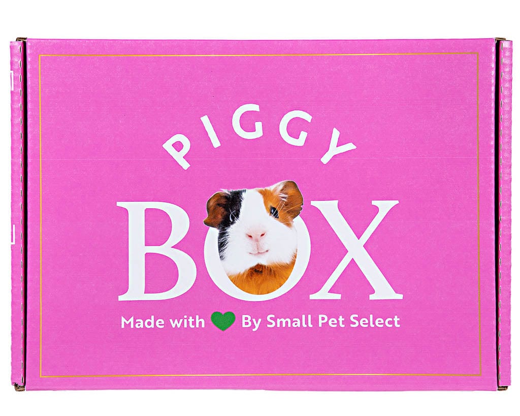The Piggy Box