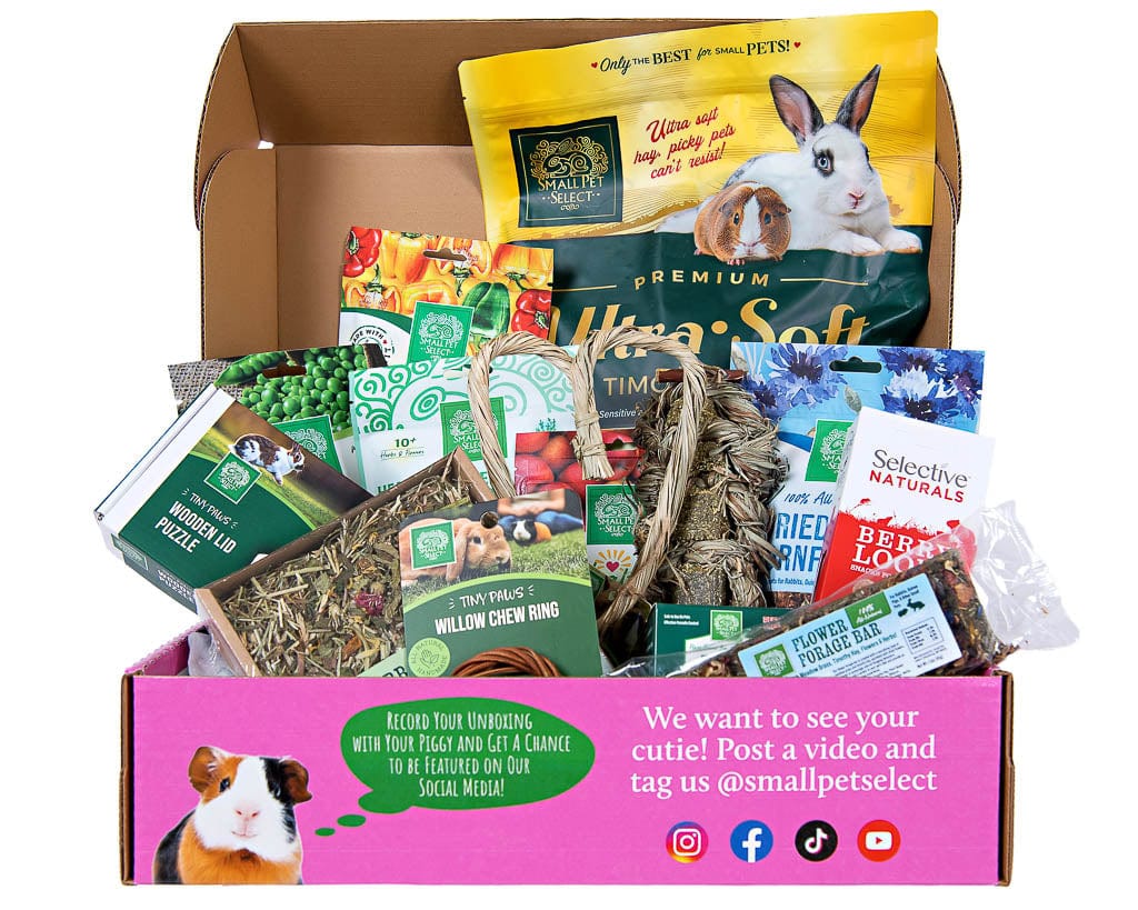 The Piggy Box
