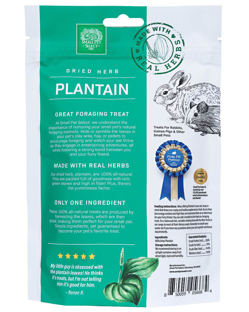 Plantain – 2oz (56g)