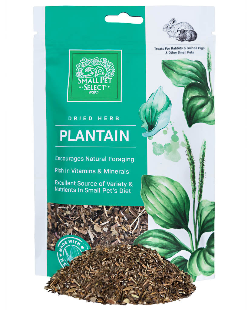 Herb Discovery Set - 5 Pack