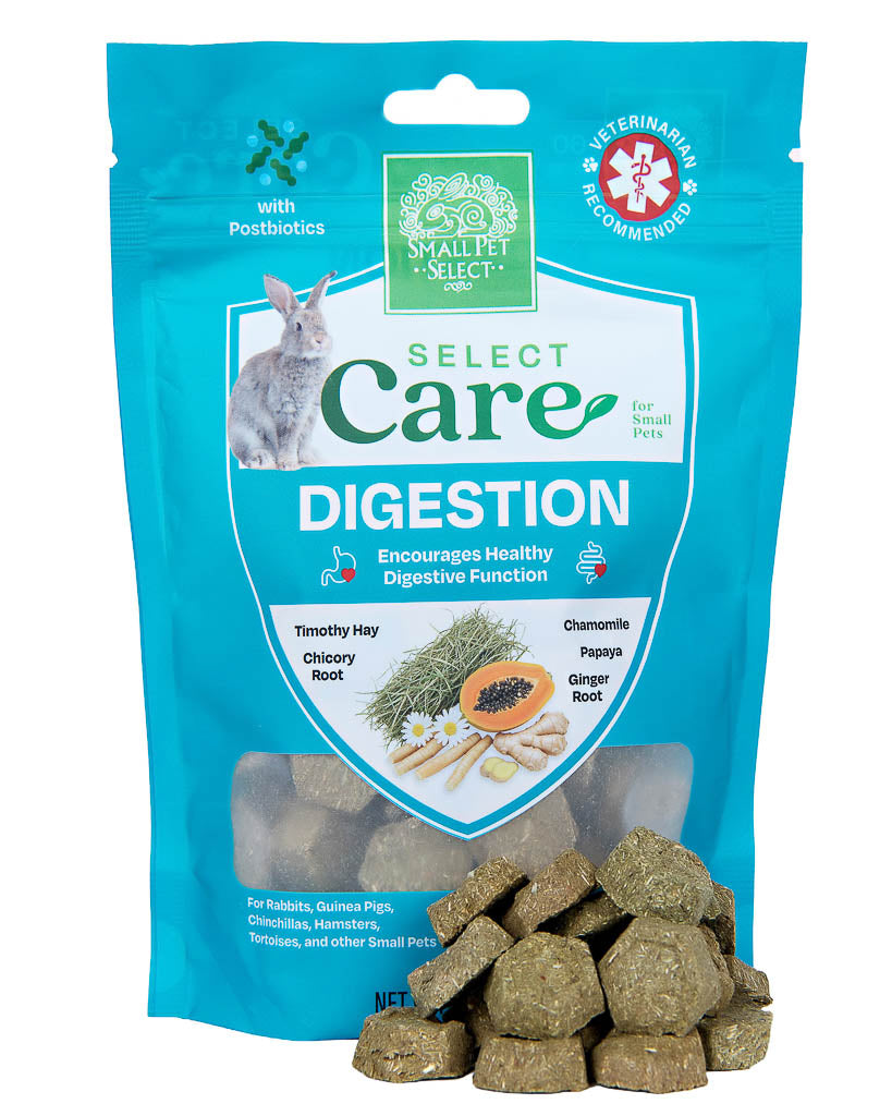 Curated visual reference: Digestive Health Support For Rabbits Guinea Pigs Photo Inspiration