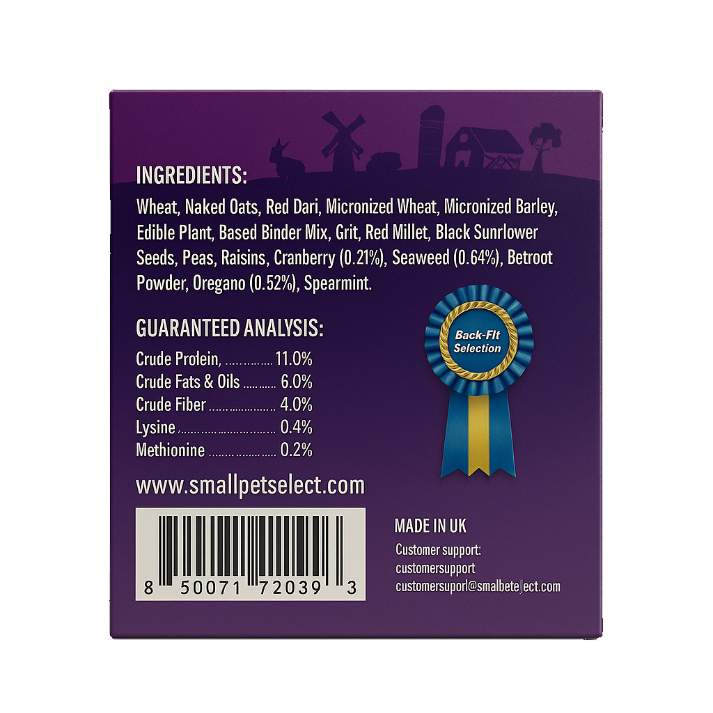 Peck 'N Play Hanging Treat