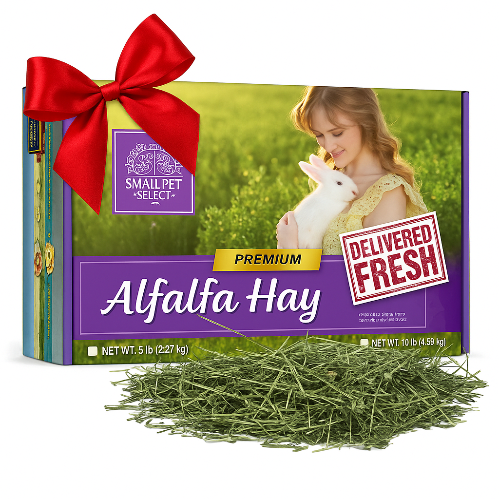 Alfalfa Hay
