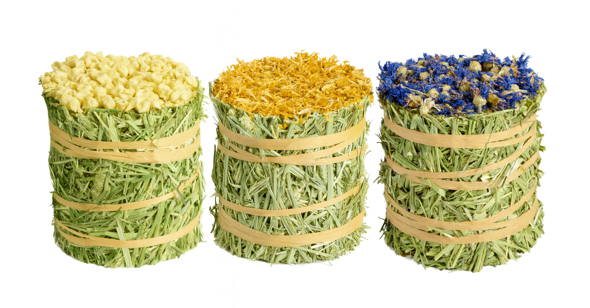 Timothy Hay Roll - 3 Pack