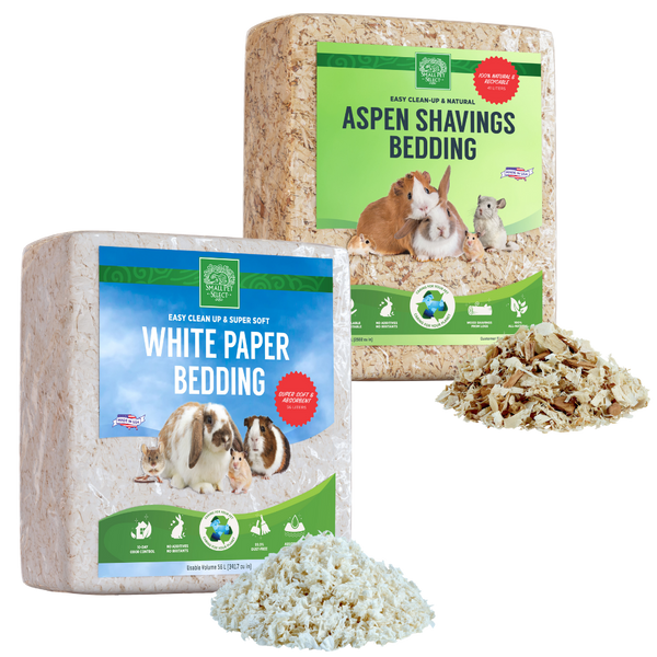 Paper based hamster 2024 bedding