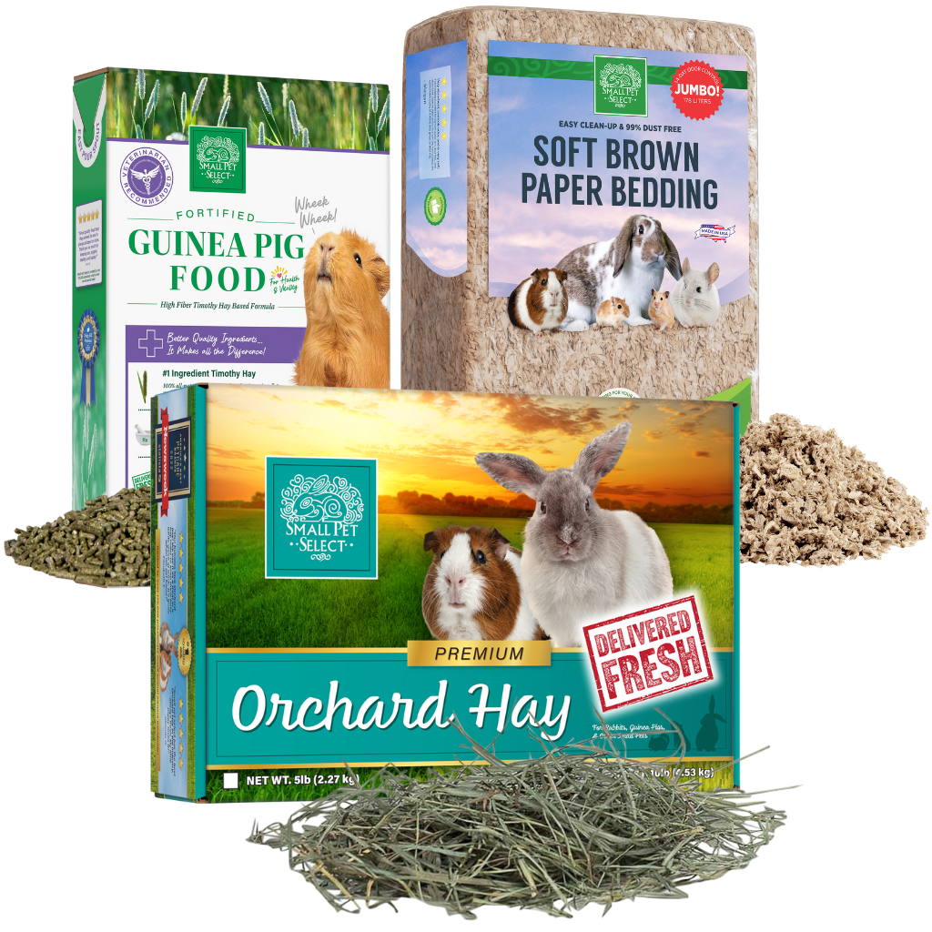 Orchard Hay, Guinea Pig Food Pellets & Bedding