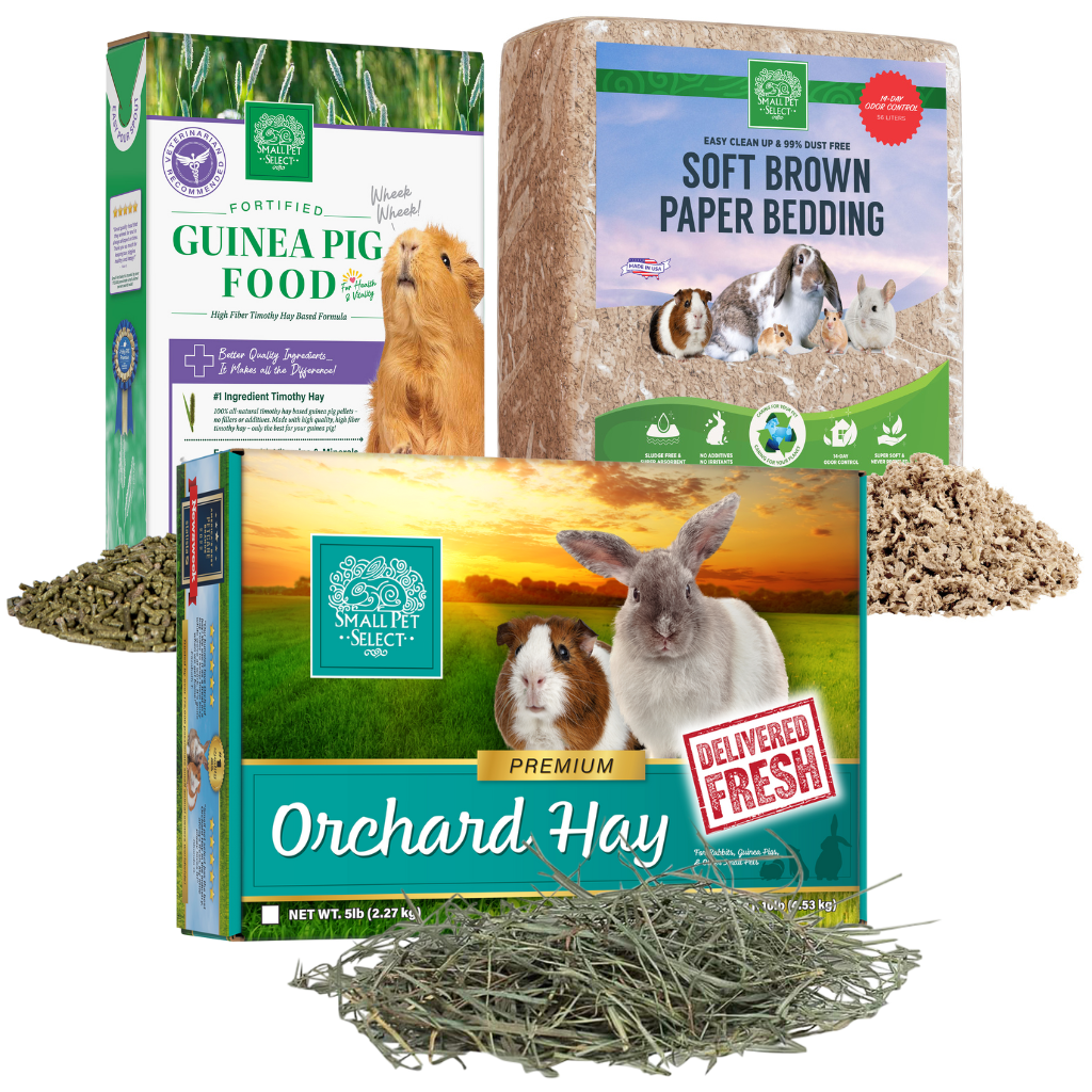 Orchard Hay, Guinea Pig Food Pellets & Bedding