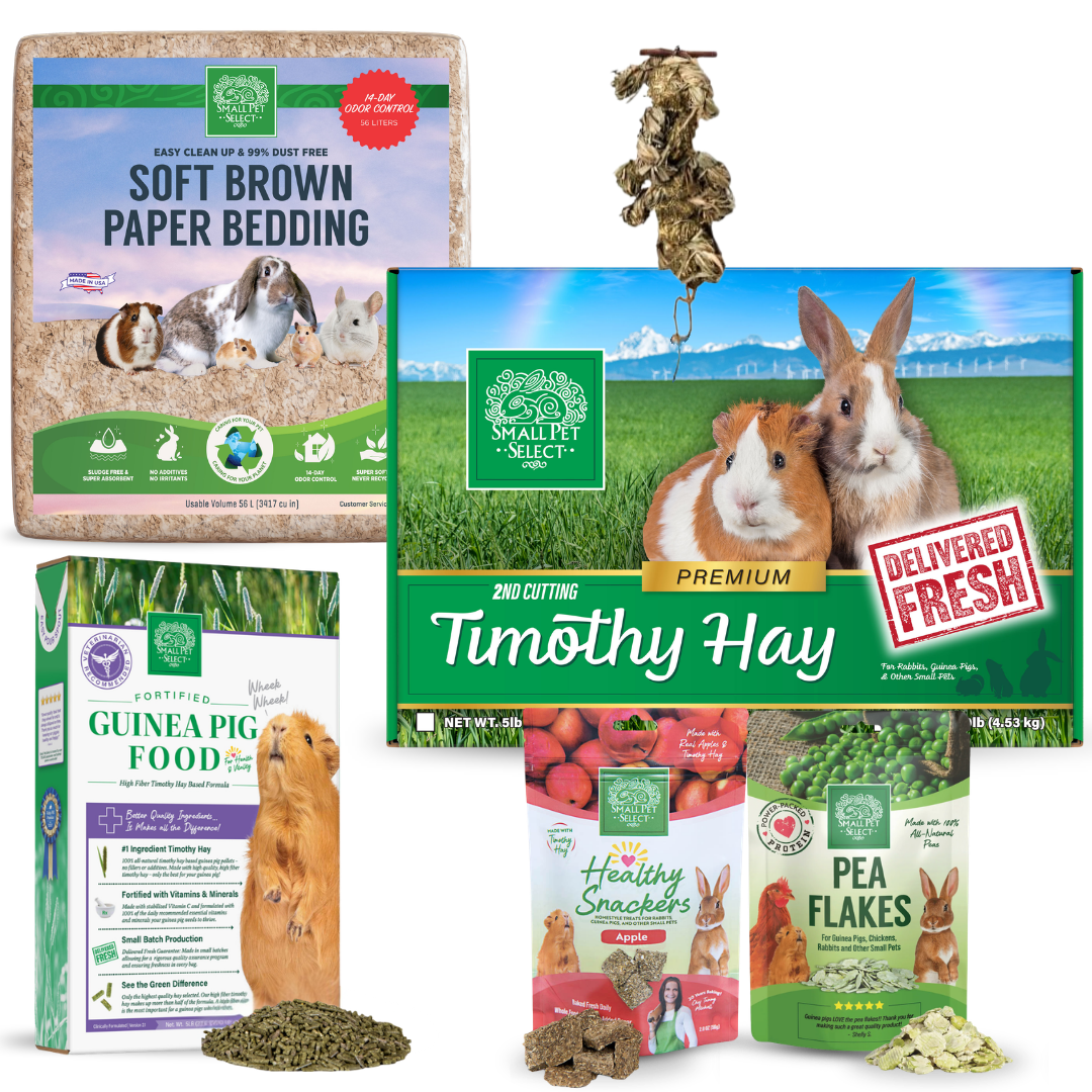 The Piggy Starter Pack - Complete Guinea Pig Essentials