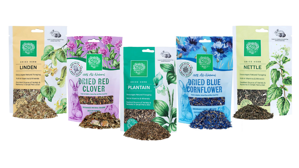 Herb Discovery Set - 5 Pack