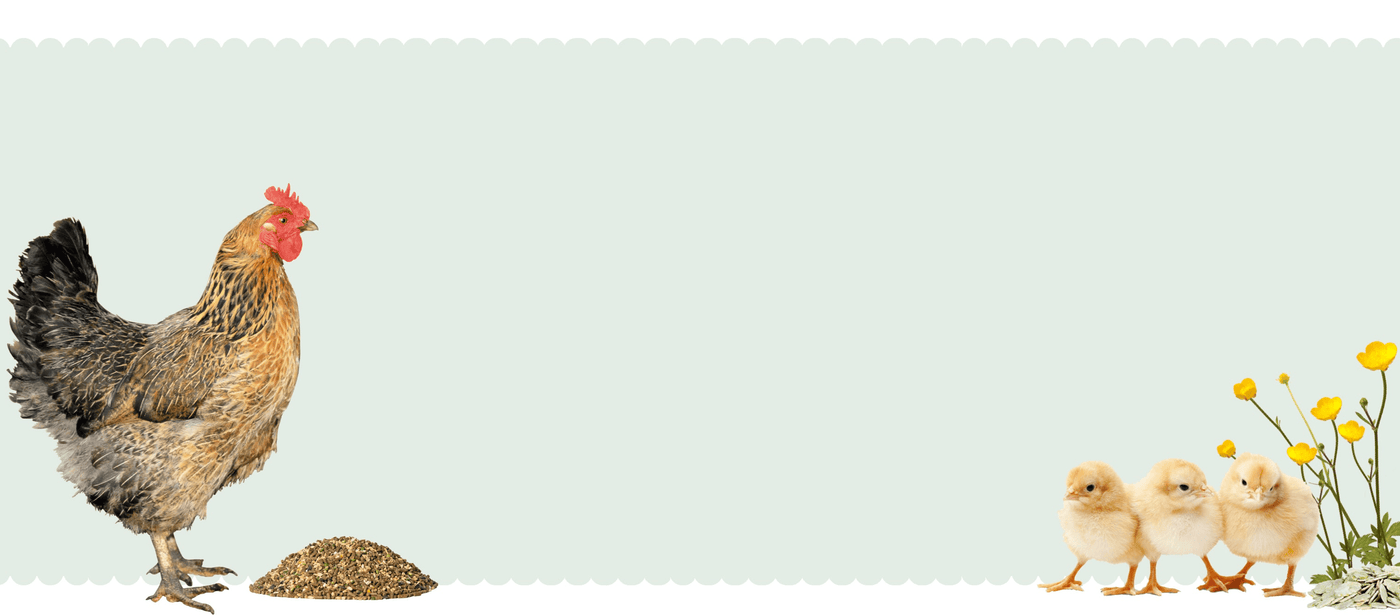 chicken products banner 2