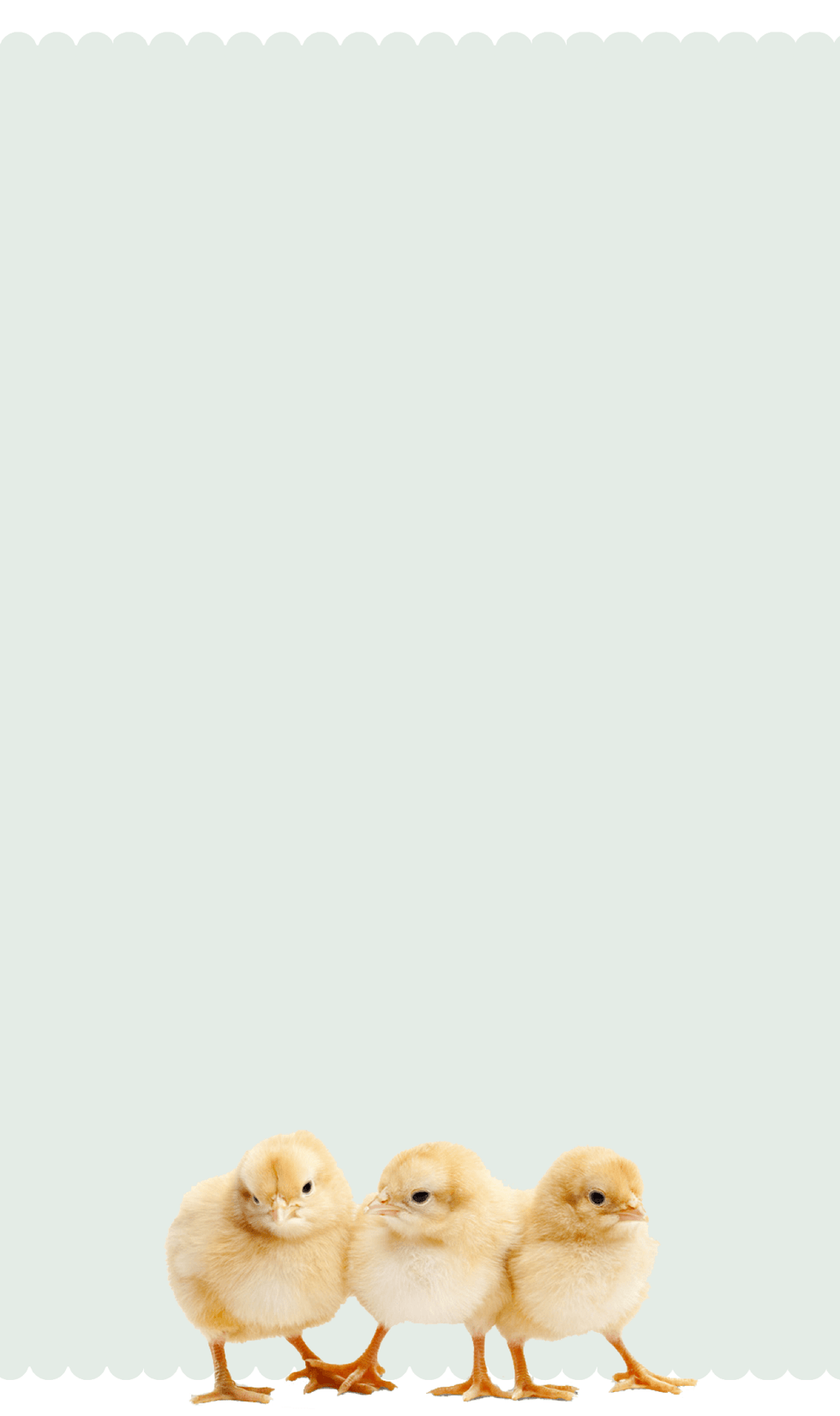 chicken products banner 2 mobile