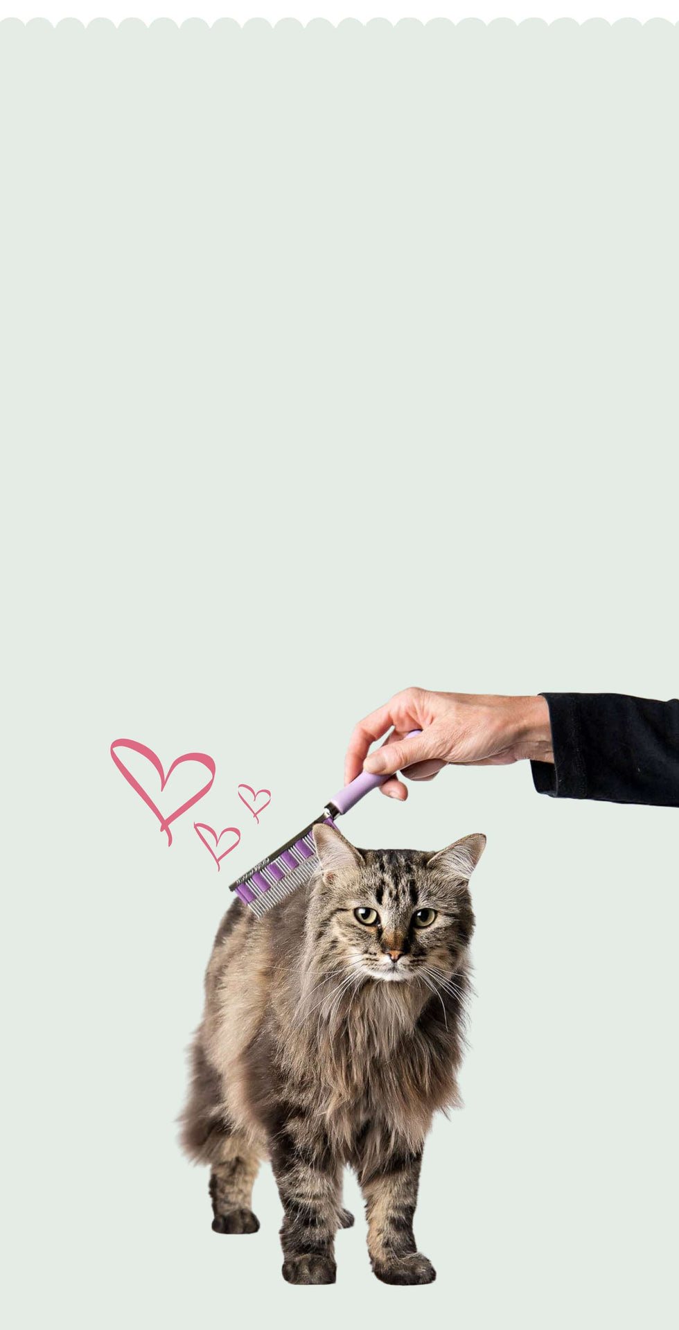 grooming_Product_Mobile