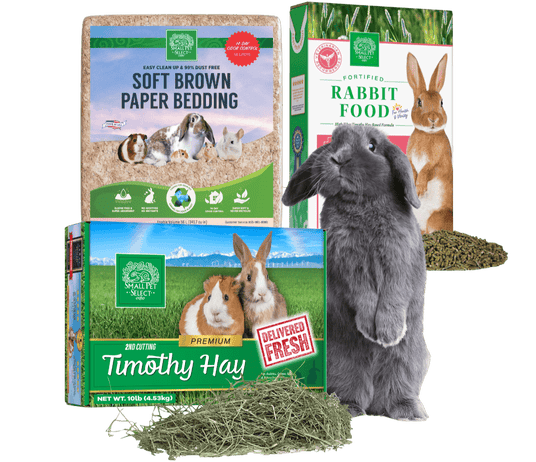 rabbit_bundle_collection_small pet