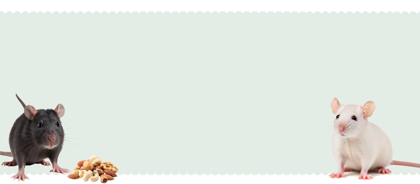 rat products from small pet select banner