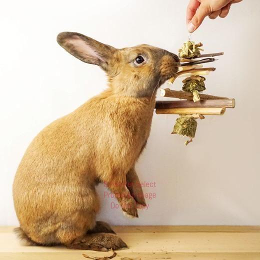 smallpetselect-uk,Organic 12" Hay and Twig Mobiles