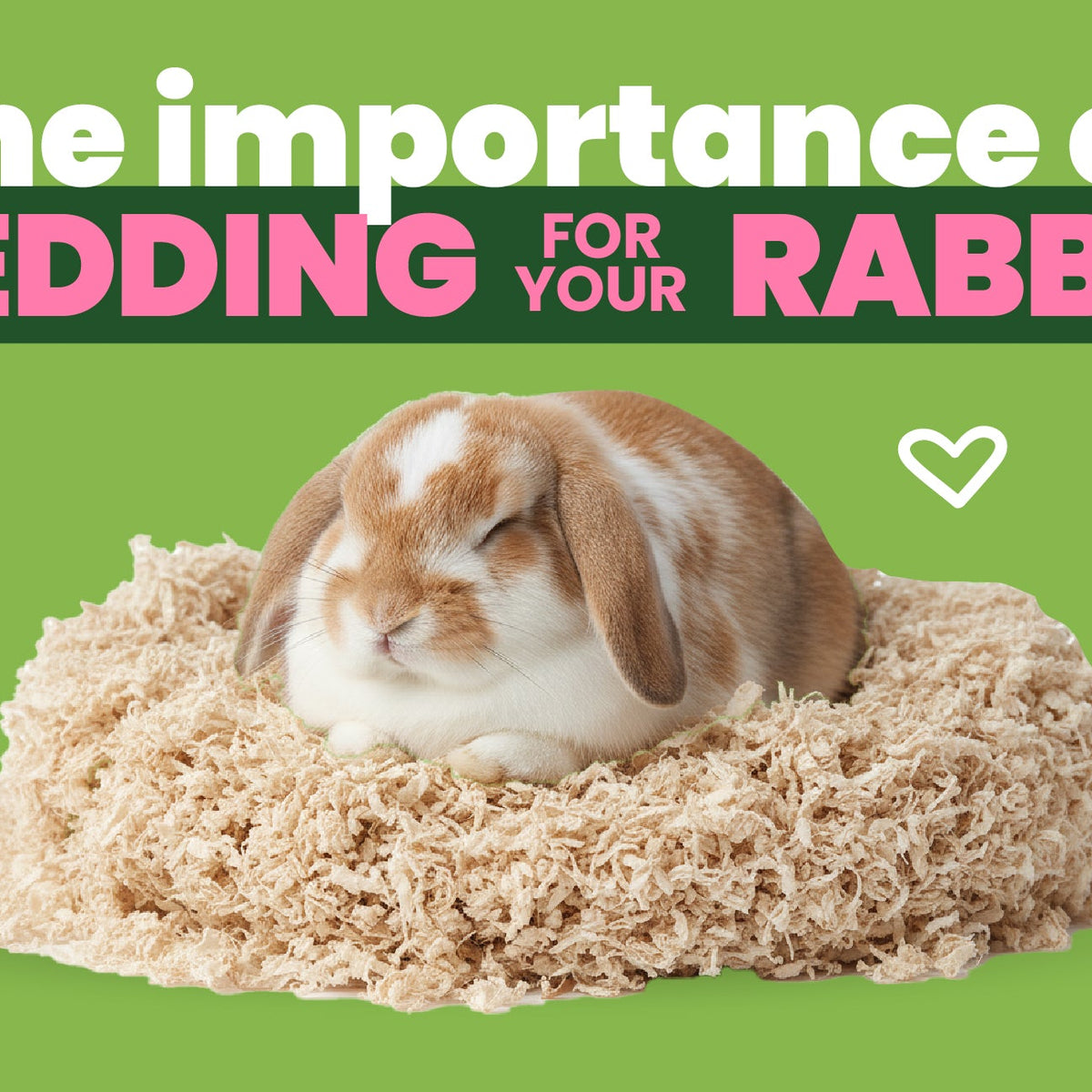 Guide: The Importance Of Bedding For Your Rabbit – Small Pet Select UK