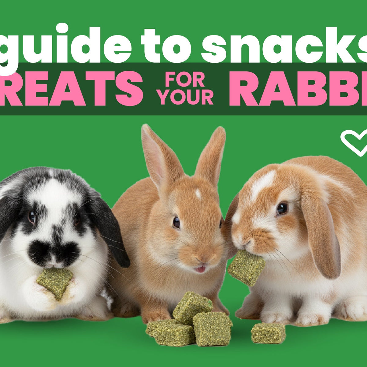 A Guide To Snacks & Treats For Your Rabbit – Small Pet Select UK
