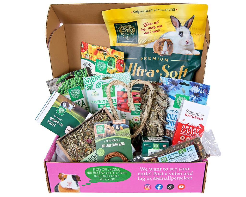 The Piggy Box