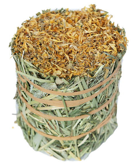 Timothy Hay Roll Marigold