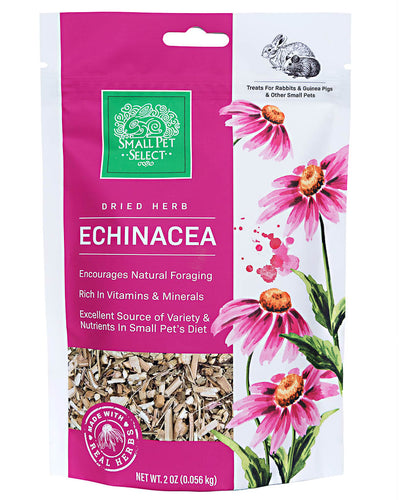 Echinacea Stems & Flowers