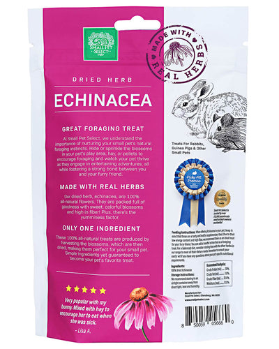 Echinacea Stems & Flowers