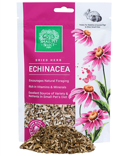 Echinacea Stems & Flowers