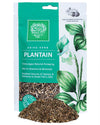 Plantain