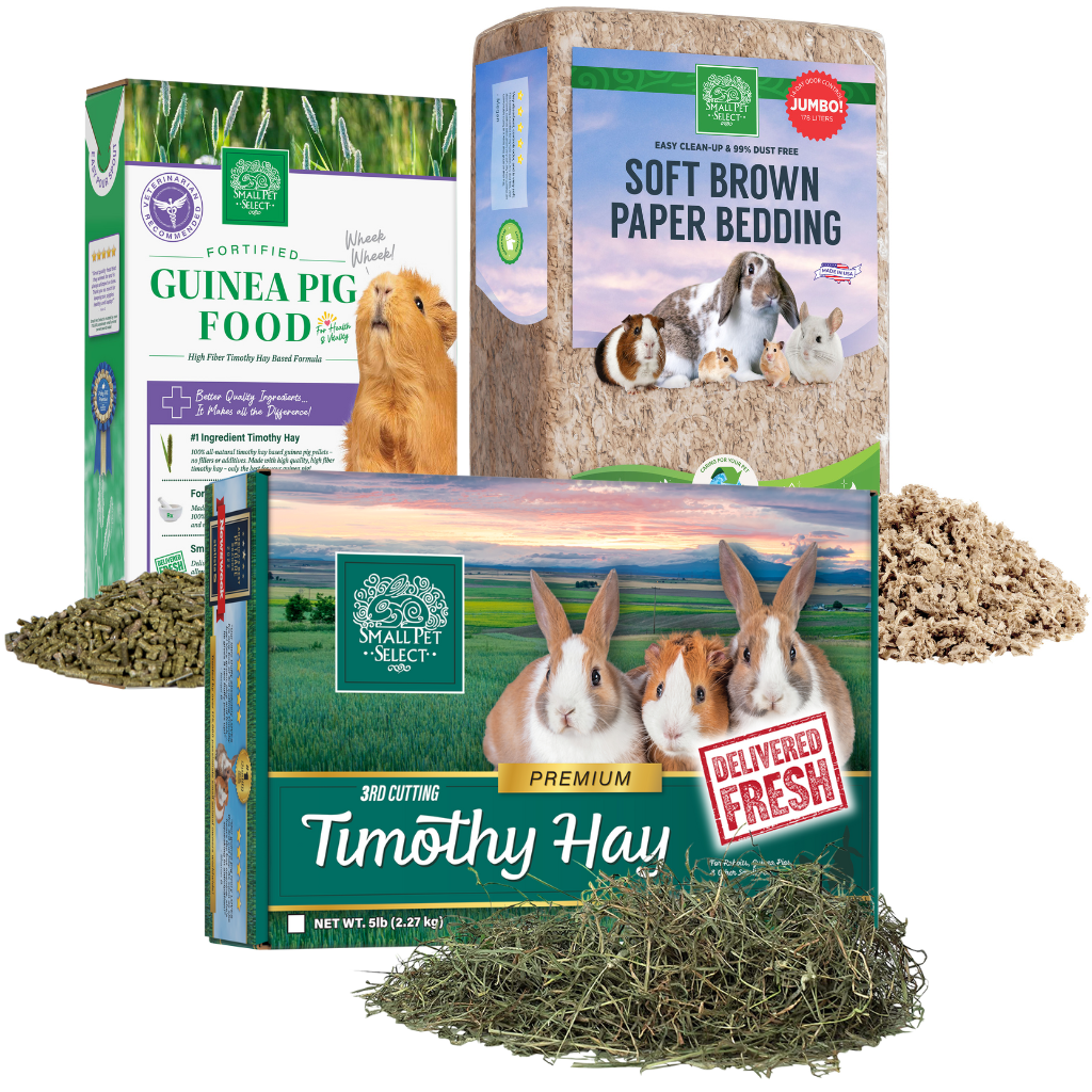 Pellet bedding shop for guinea pigs