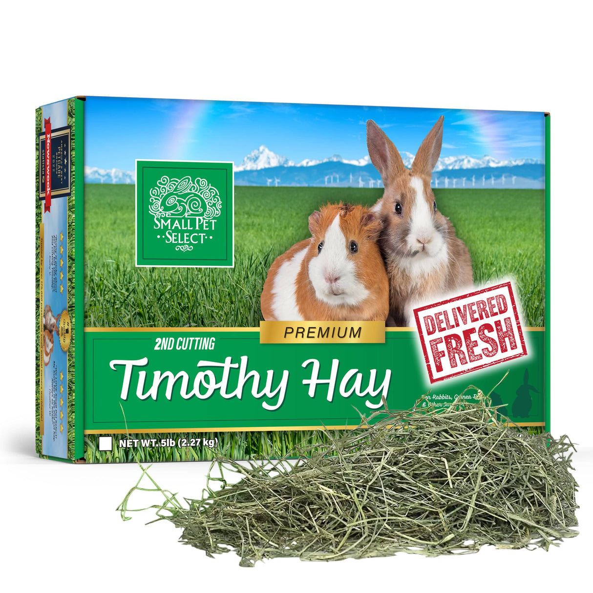 Small Pet Rescue & Ambassador Donation Box