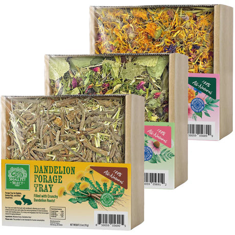 Forage Tray Bundle
