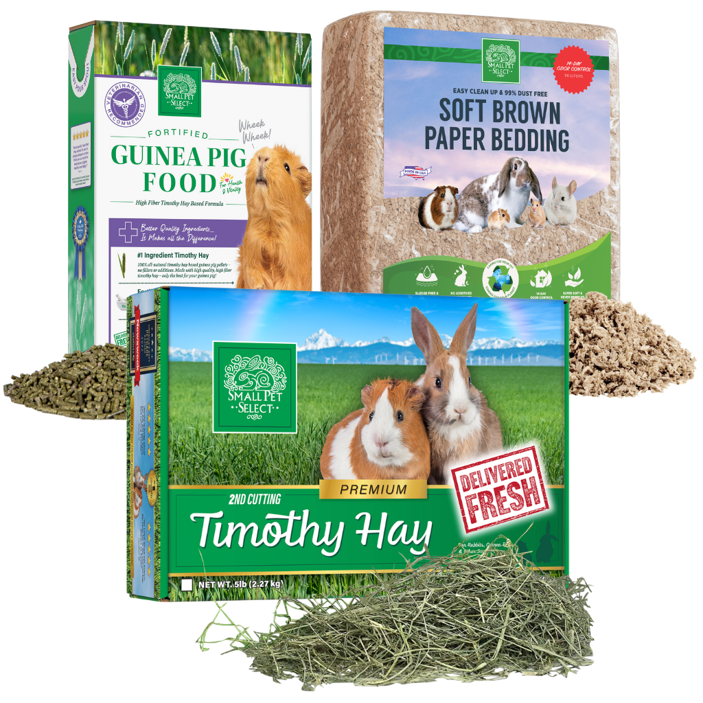 2nd Cut Timothy, Guinea Pig Food Pellets & Bedding