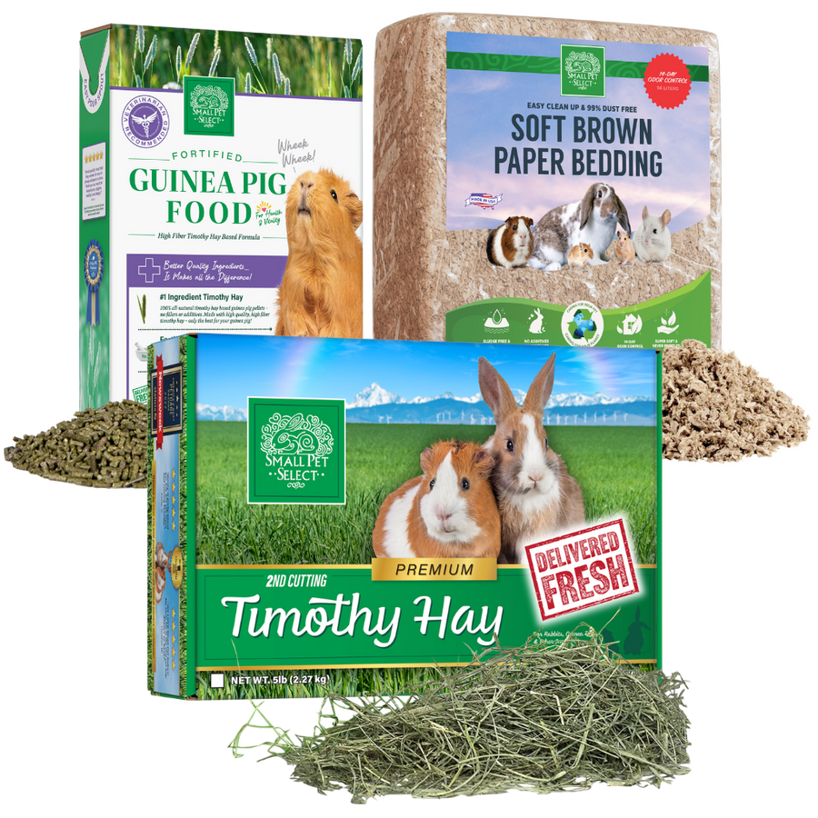 Bulk hay best sale for guinea pigs