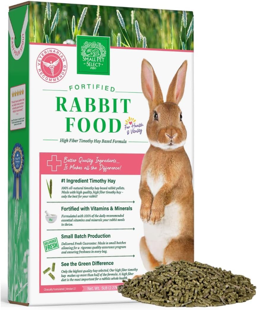 The Bunny Starter Pack