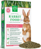 The Bunny Starter Pack
