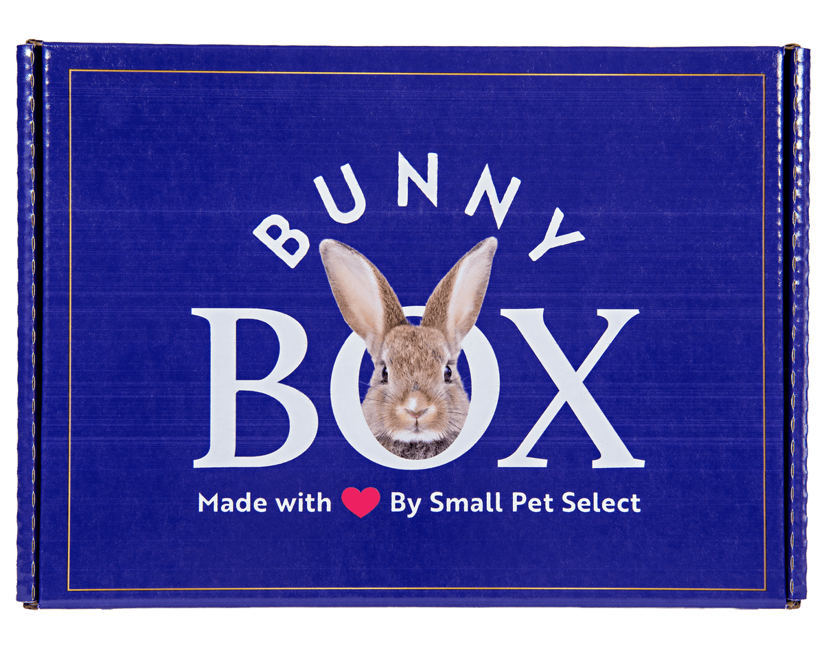 The Bunny Box