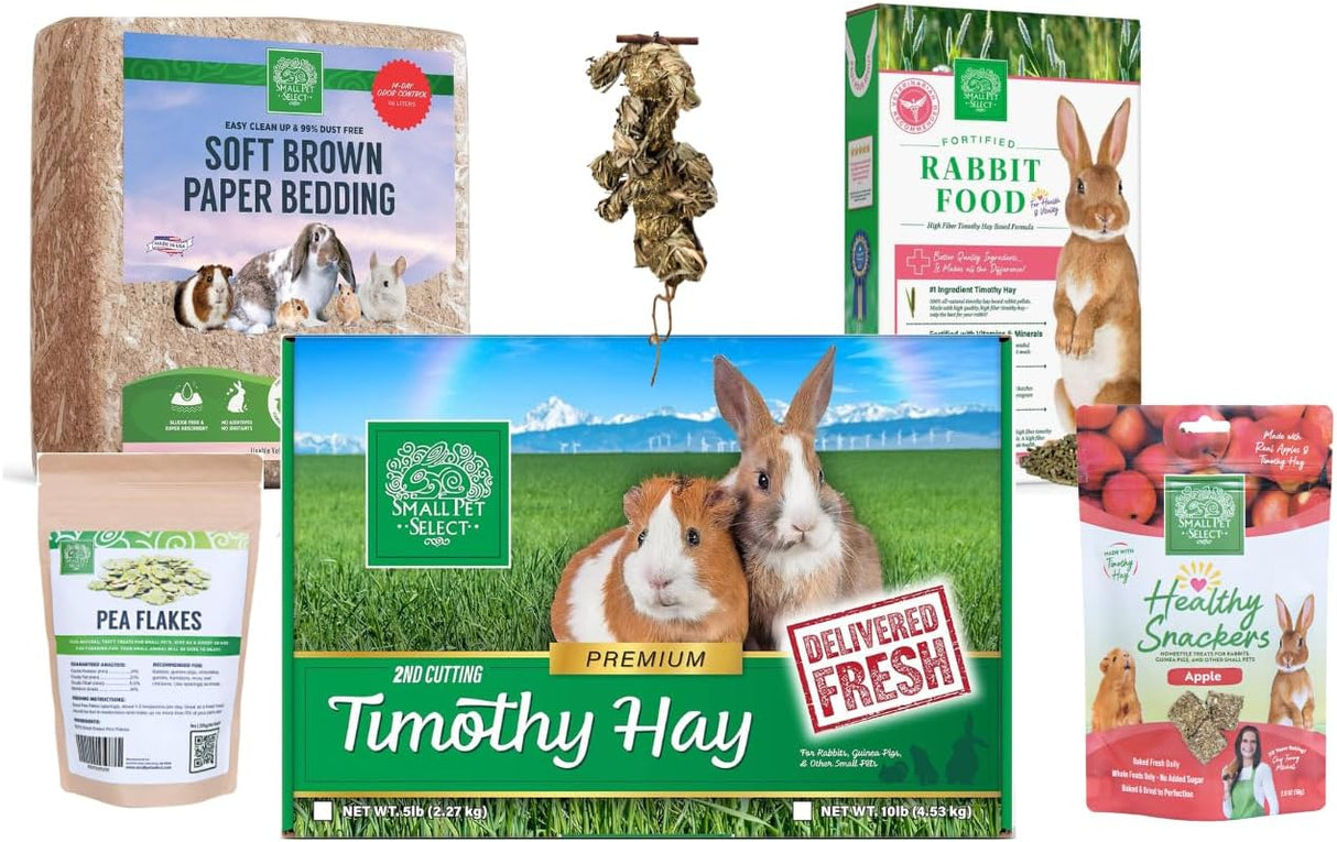 The Bunny Starter Pack