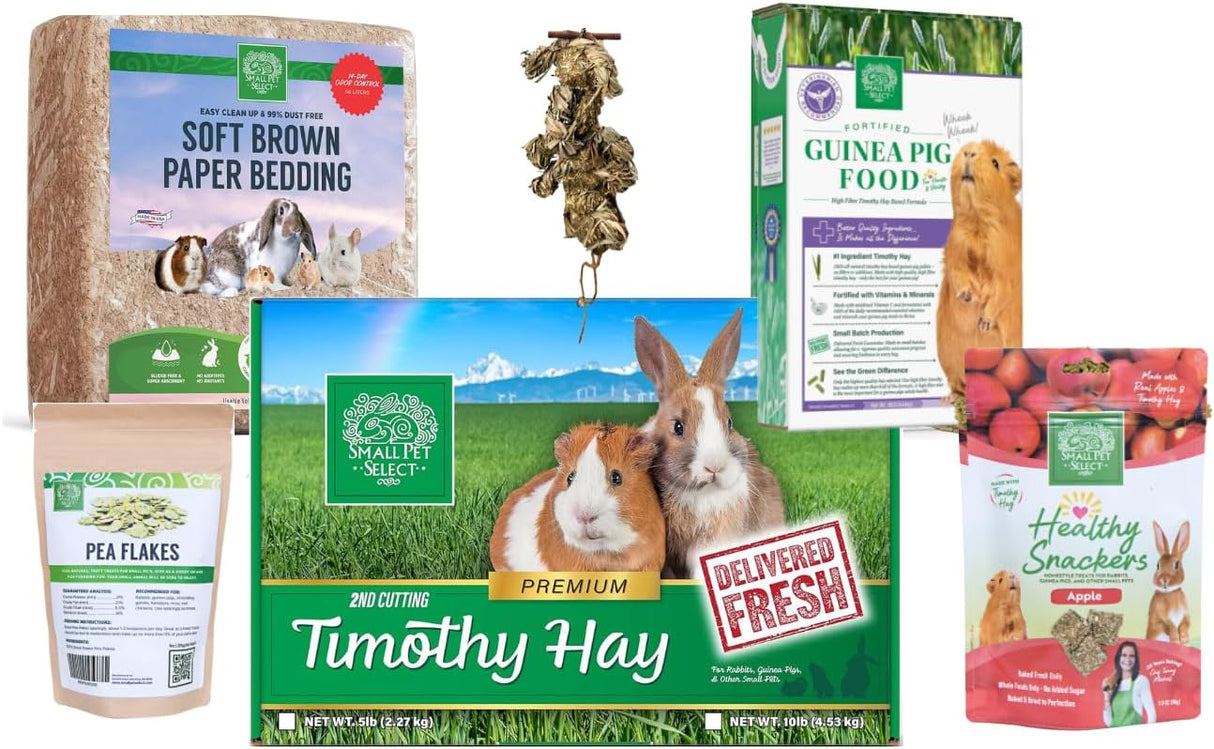 The Piggy Starter Pack