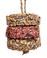 Peck 'N Play Hanging Treat