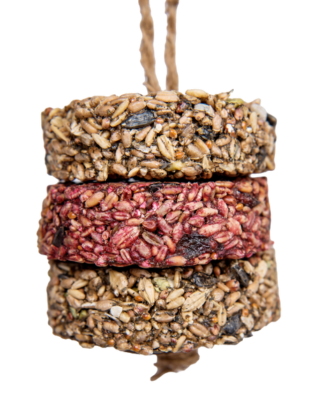 Peck 'N Play Hanging Treat