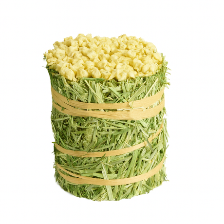 Timothy Hay Roll Apple