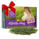 Alfalfa Hay