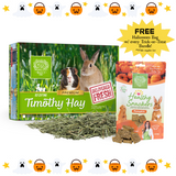 Trick-Or-Treat Bundle