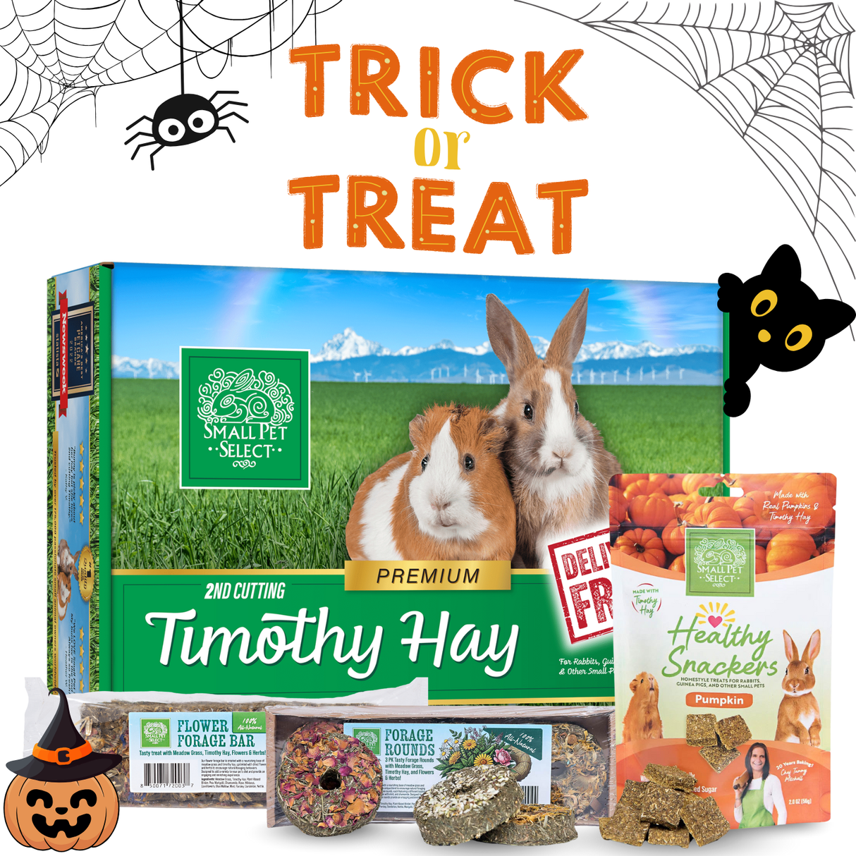 Trick or Treat Bundle