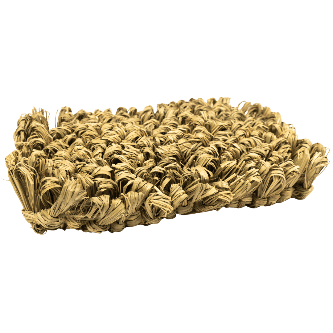 Tiny Paws Hide-Away Seagrass Mat