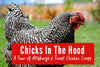 Chicks in The Hood