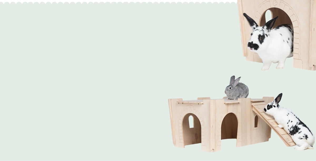 Tiny Paws - Digging Platform – Small Pet Select UK
