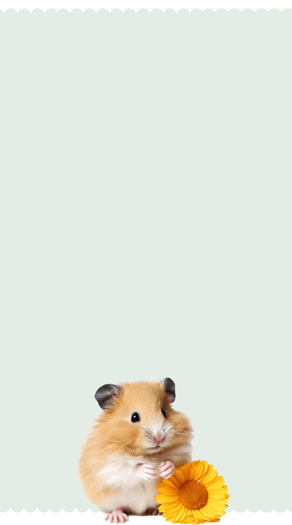 hamsters_gerbils_mice_products small pet banner 2