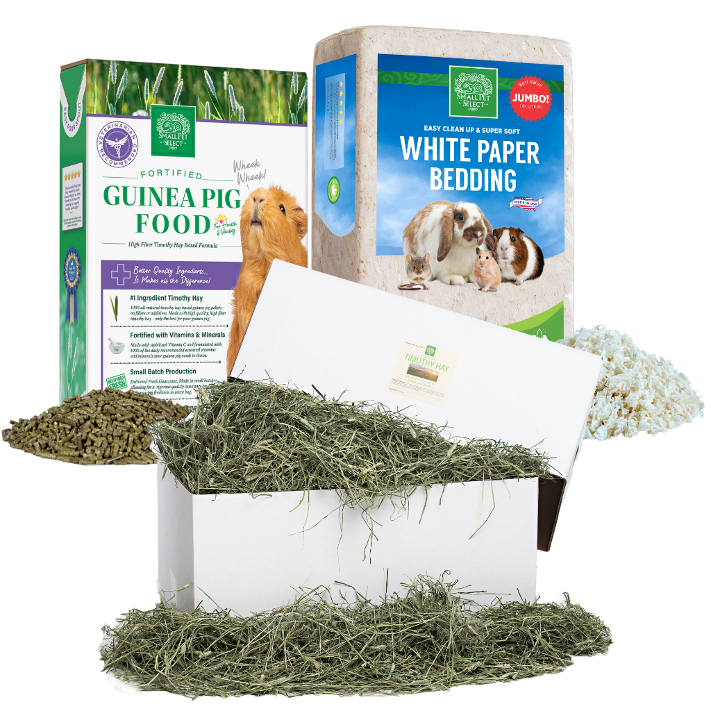 Pellet bedding for guinea pigs best sale