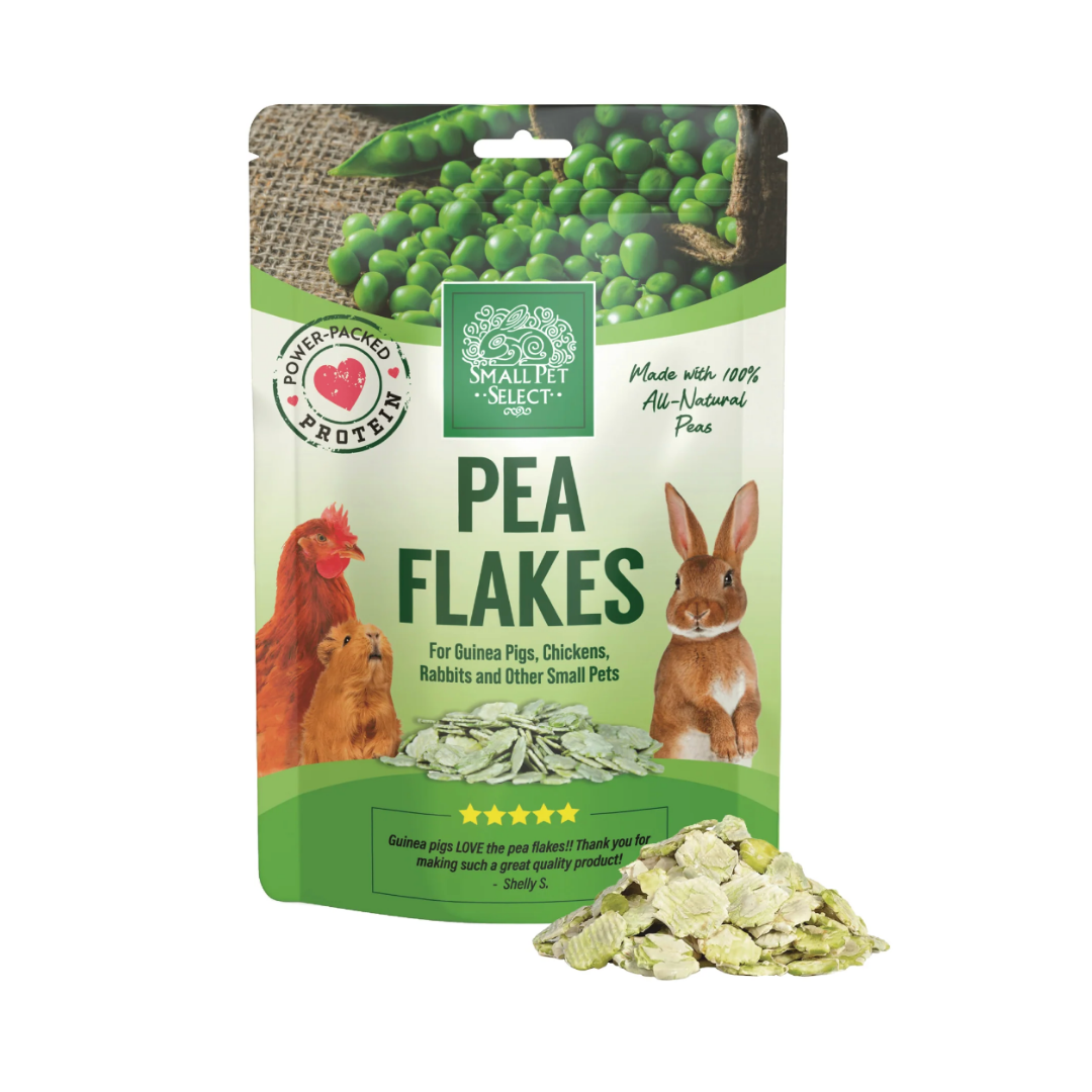 The Piggy Starter Pack - Complete Guinea Pig Essentials