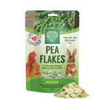 The Piggy Starter Pack - Complete Guinea Pig Essentials